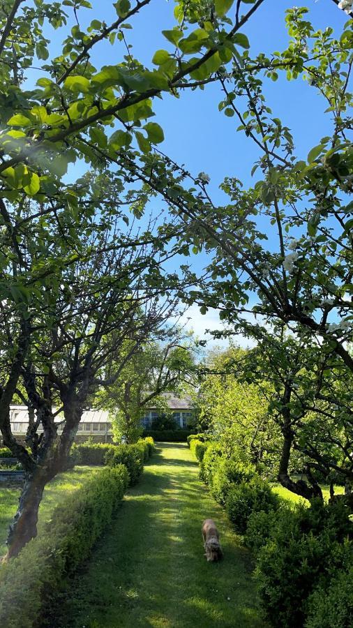 St-Valery Sur Somme - Chateau De Noyelles - Maison De Vacances מראה חיצוני תמונה